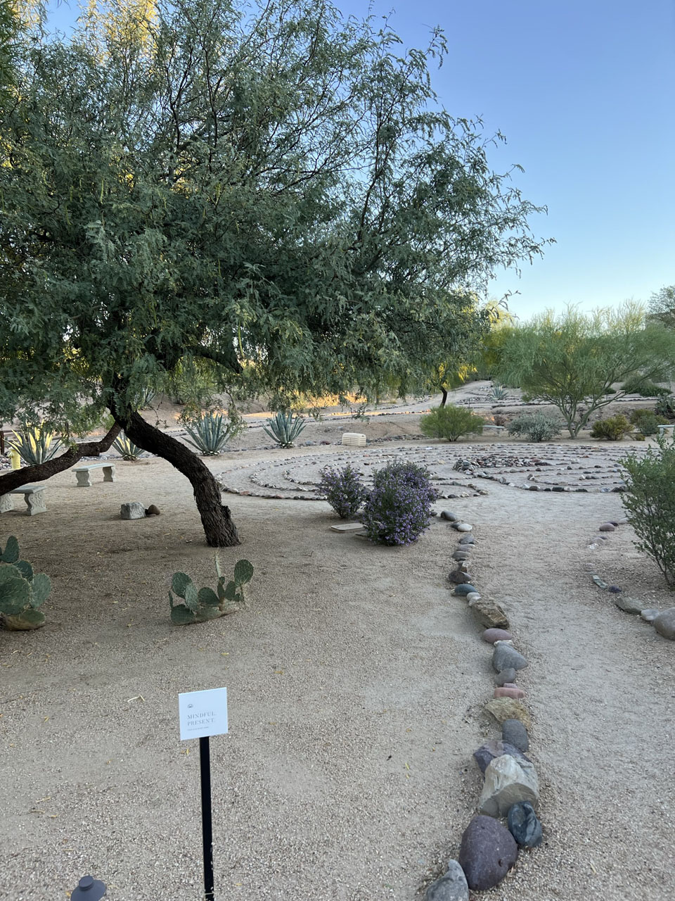 Full Review of Civana Wellness Resort & Spa