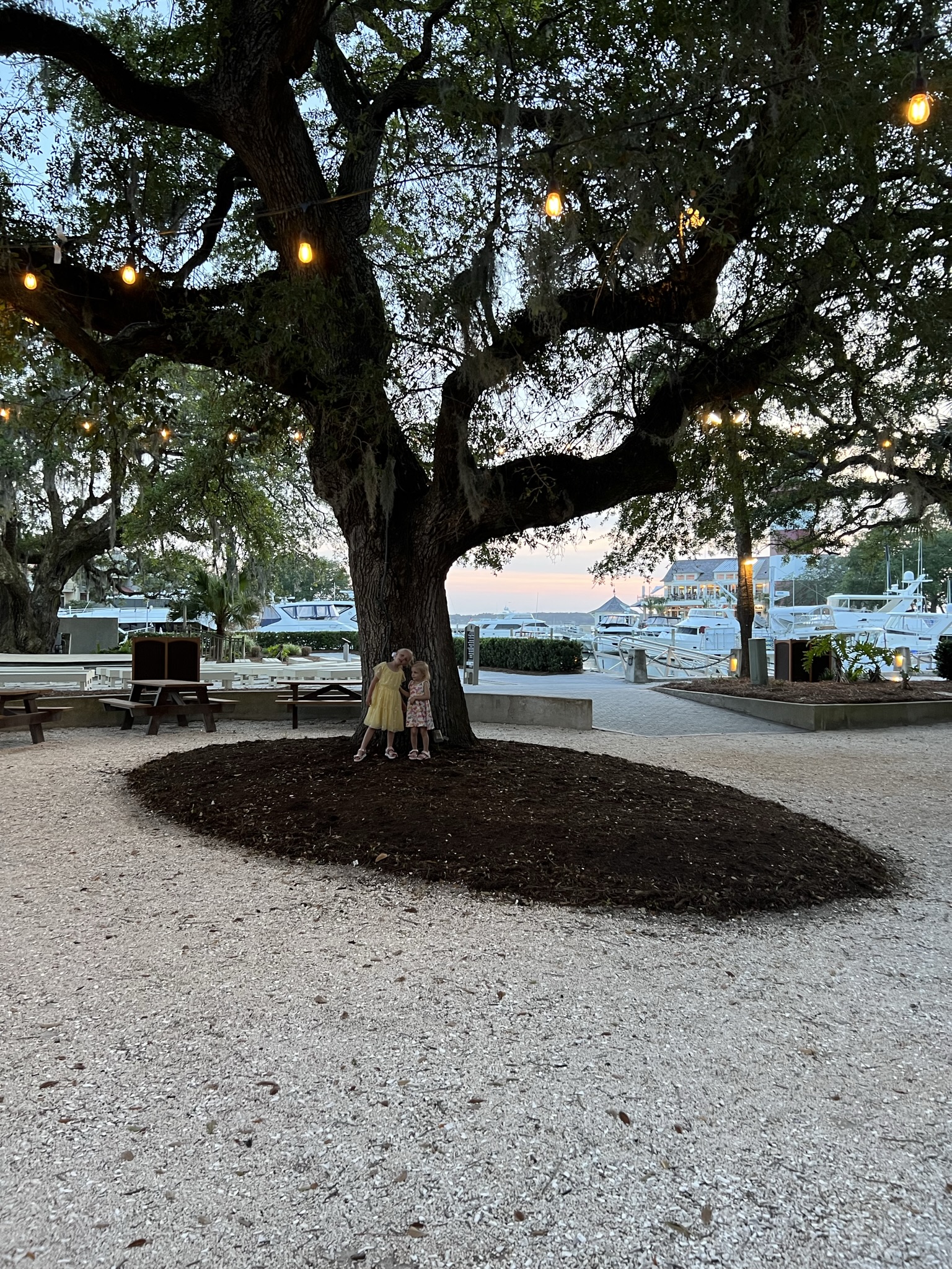 Hilton Head 2023 Review