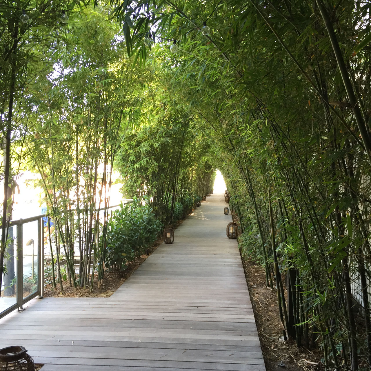 Nautilus walk to the beach